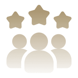 users-with-stars-on-head-icon-1